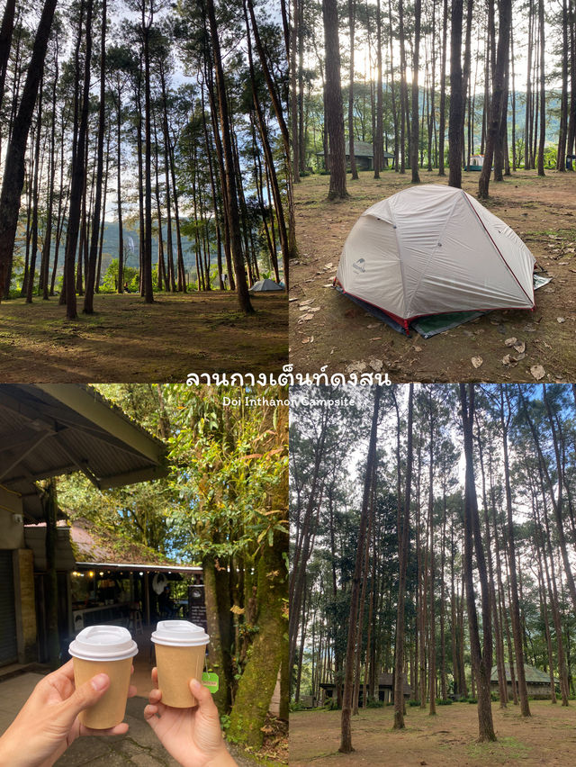 8 พิกัดเที่ยวดอยอินทนนท์ 2 วัน 1 คืน ⛰️🌿🌳🌤️🏕️