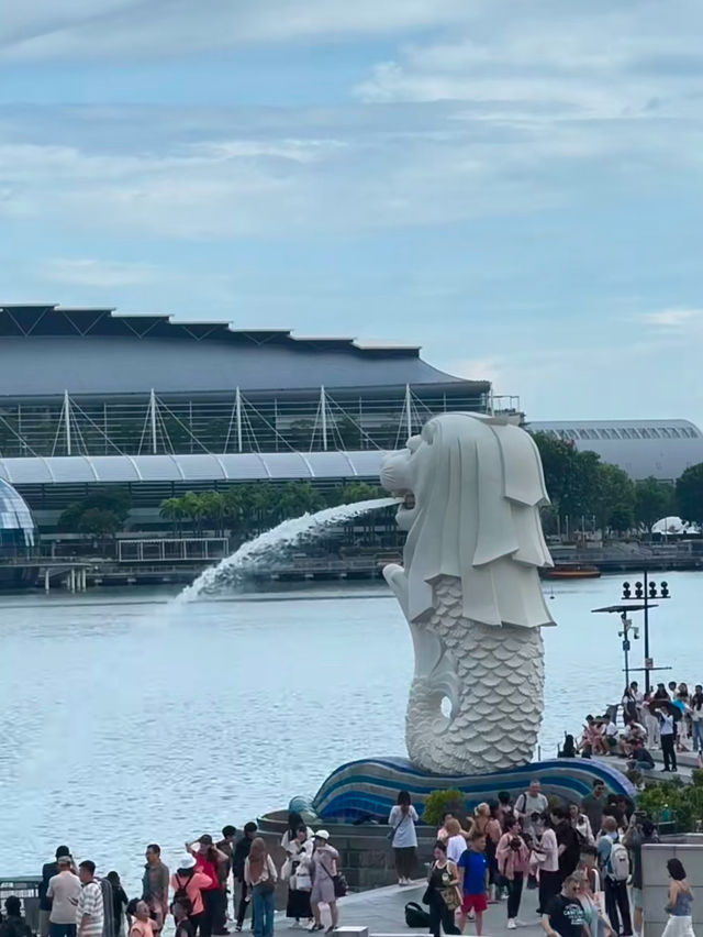 An awesome view of full singapore 🇸🇬 