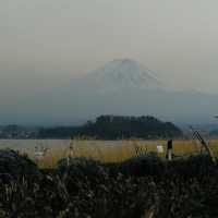 Facing Majesty: A Moment with Mount Fuji at Kawaguchiko