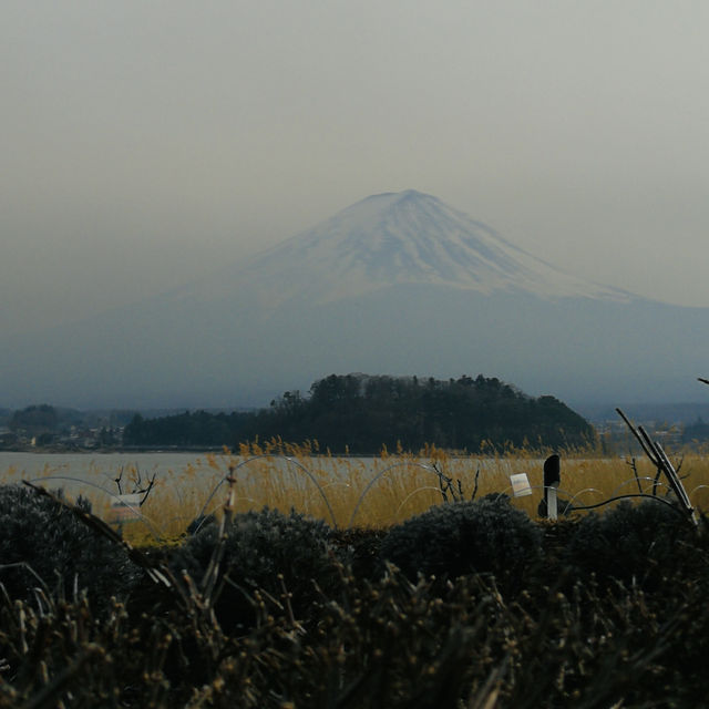 Facing Majesty: A Moment with Mount Fuji at Kawaguchiko