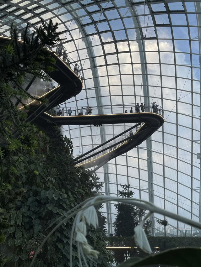 A Mystical Escape at Singapore’s Cloud Forest