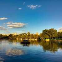 ใบไม้เปลี่ยนสี สวนสาธารณะ Green lake park