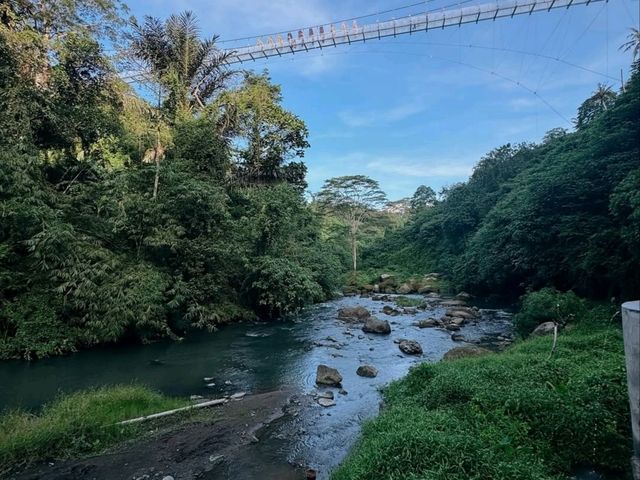 Thrilling Nature Escape at Tegenungan Waterfall