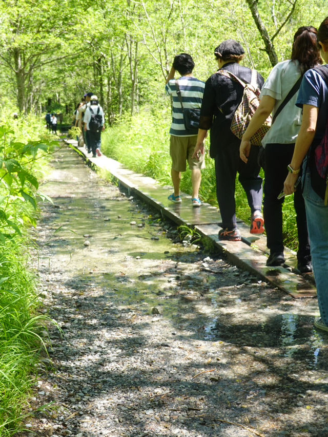 【上高地】日本屈指の絶景⛰️上高地で大自然に癒される旅