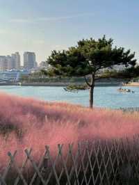 Xiaomai Island (小麦岛): Qingdao’s Hidden Coastal Gem