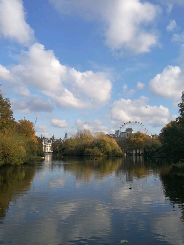 Autumn walk in St James Park 🍁🍂🍁🍂