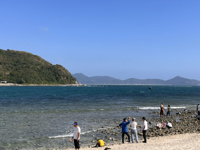 小東海