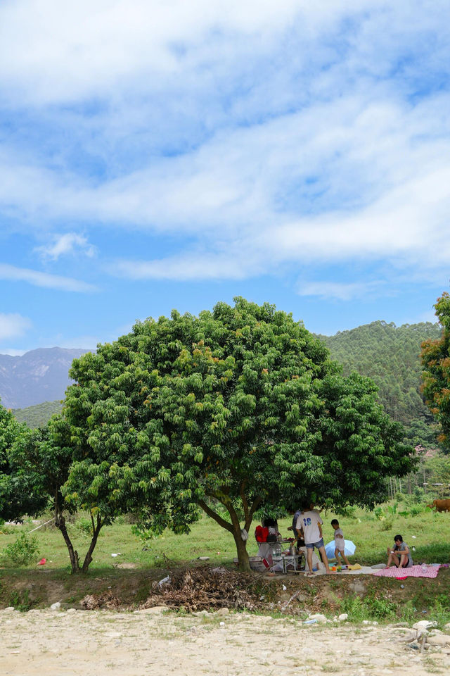 深圳周邊1小時直達—惠州徐田古村|||惠州博羅的徐田古村，深圳/東莞出發自駕只需1小時哦！ 地點定。