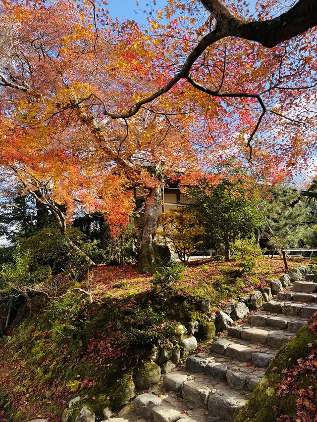 日本·京都