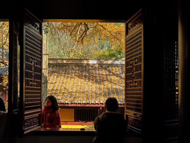 北碚溫泉寺~百年銀杏~抓住秋天的尾巴