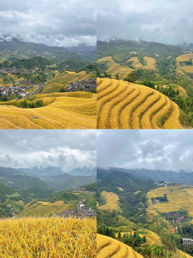 龍脊梯田｜下雨的龍脊梯田也很美