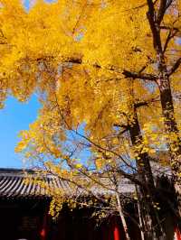 北京模式口承恩寺