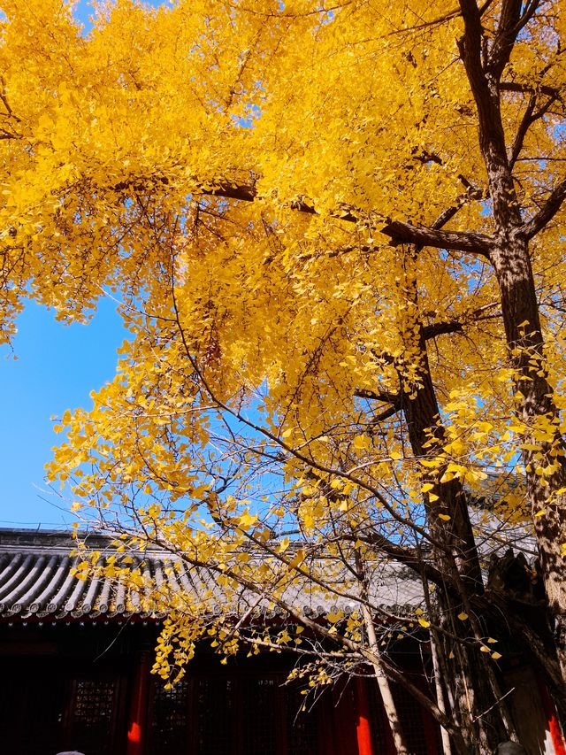 北京模式口承恩寺