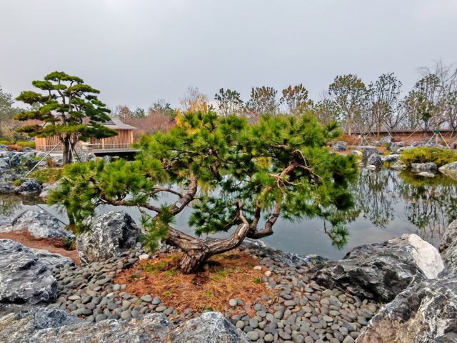 世界花藝園之禪境園和岩石花園