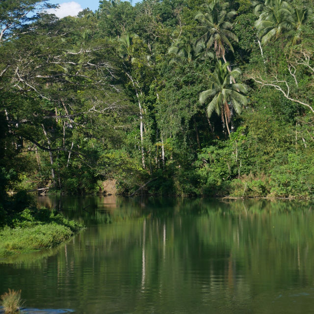 Bohol: Nature’s Paradise in the Philippines