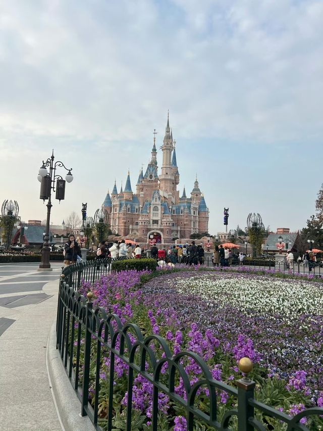 上海迪士尼樂園，2015年1月，慘況！