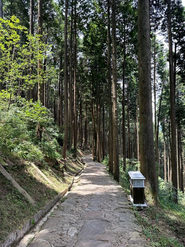 九江2日遊 長者出行優選