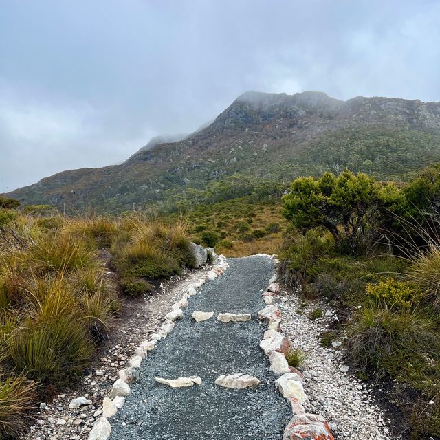 Cradle Mountain 