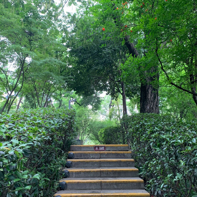 A magical land in Chengdu