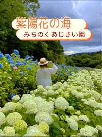 日本最大級の紫陽花の海原を見に行こう🥰💠🤍みちのくあじさい園