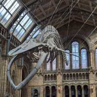 Natural History Museum