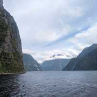 Discover the Magic of Milford Sound