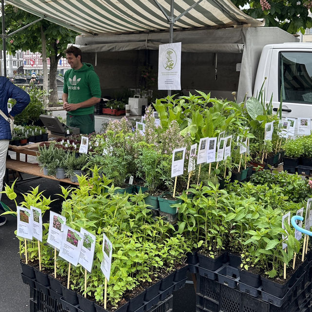 Taste the Tradition: Exploring Lucerne’s Weekly Market 🇨🇭