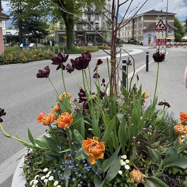 Explore, Shop, and Stroll in Beautiful Interlaken 🇨🇭