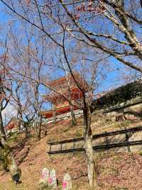 A Walk Through Time: Discovering Kiyomizudera’s Timeless Beauty