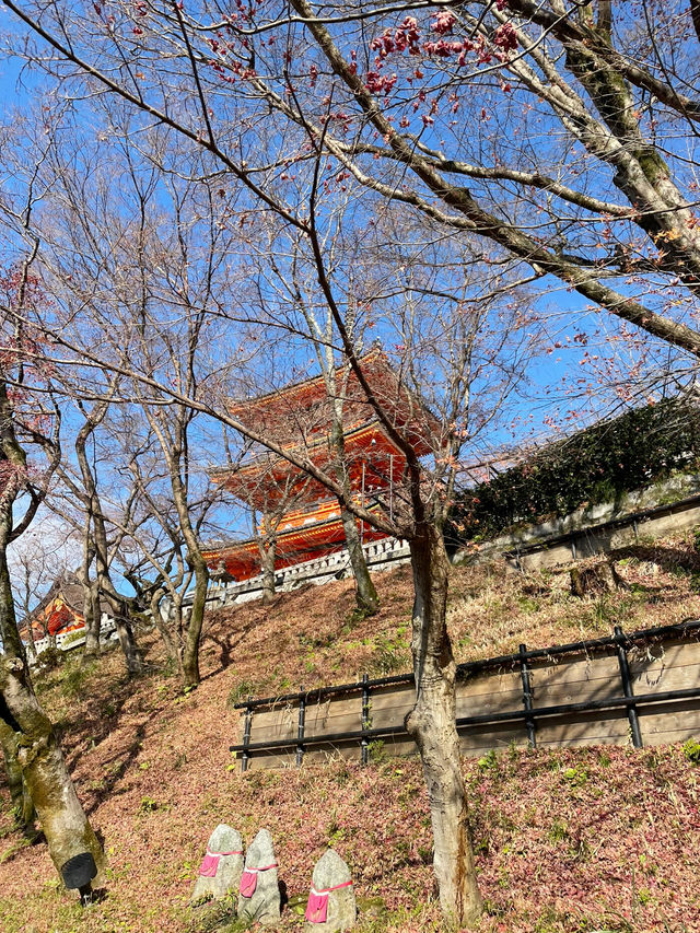 A Walk Through Time: Discovering Kiyomizudera’s Timeless Beauty