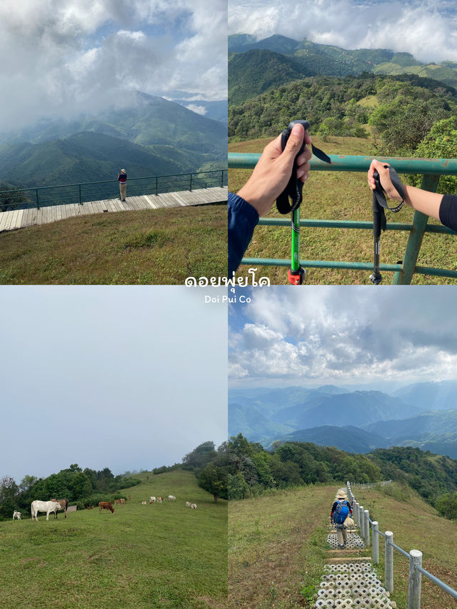 10 พิกัดเที่ยวแม่ฮ่องสอน | ฤดูหนาว 🏡⛰️🌼🌳