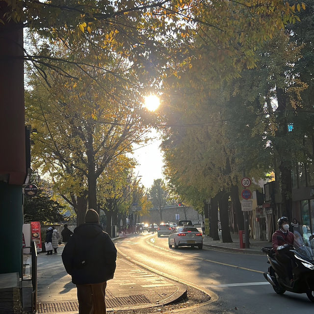 秋天首爾真的很浪漫