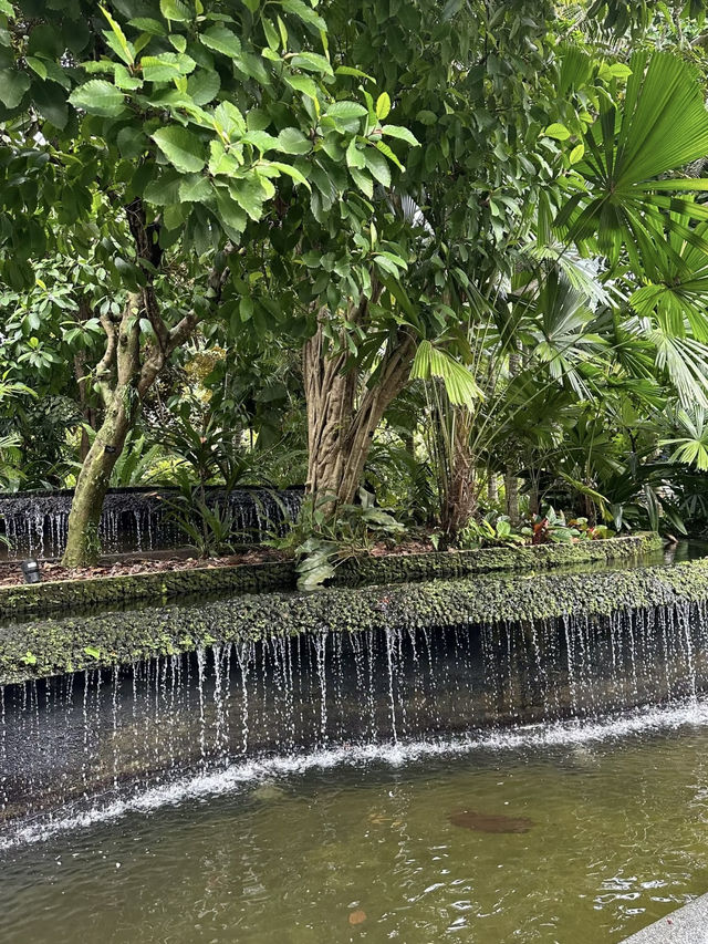 Singapore Botanic Gardens: A Tropical Haven in the City