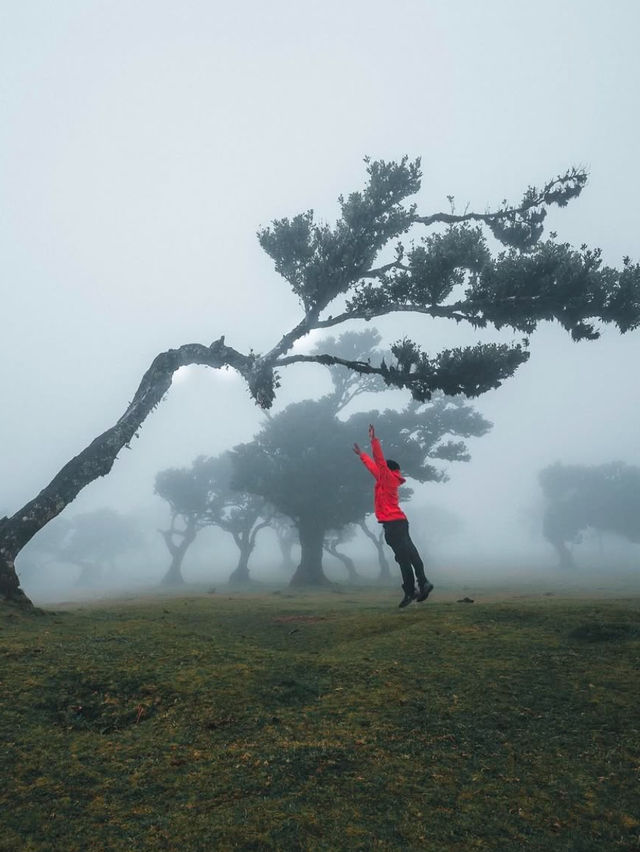 Exploring Madeira, Portugal 🏔️❄️