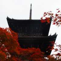 Shinnyodo Temple