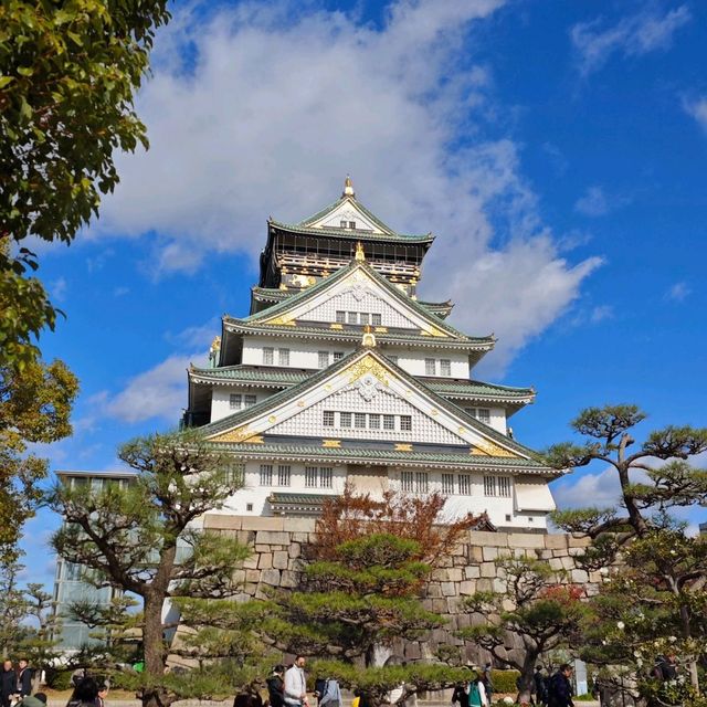 Osaka Castle in Autumn 🏰