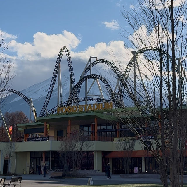 Fuji-Q Highland: Thrills, Mount Fuji Views, and Naruto-Themed Fun