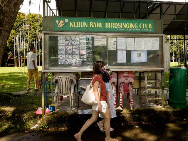 Birds telling your fortune in Singapore - Kebun Baru Birdsinging Club