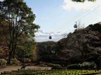 Kobe Nunobiki Herb Gardens & Ropeway 