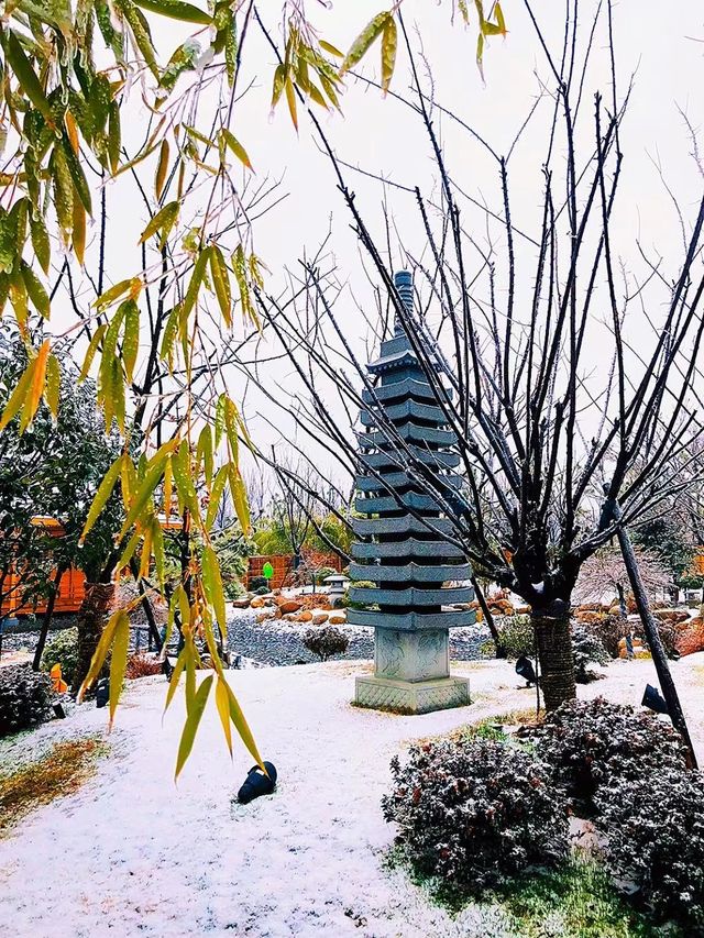 合肥第一個國外友好城市日本久留米園雪景