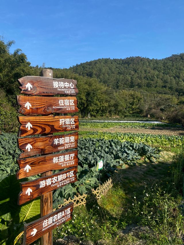 不需要去雲南惠州羅浮山下的蘭門村就有你要的田園詩意