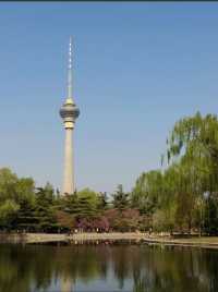 走進玉淵潭公園，邂逅浪漫花海