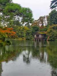 小松市秋季必到景點，錯過要等一年。