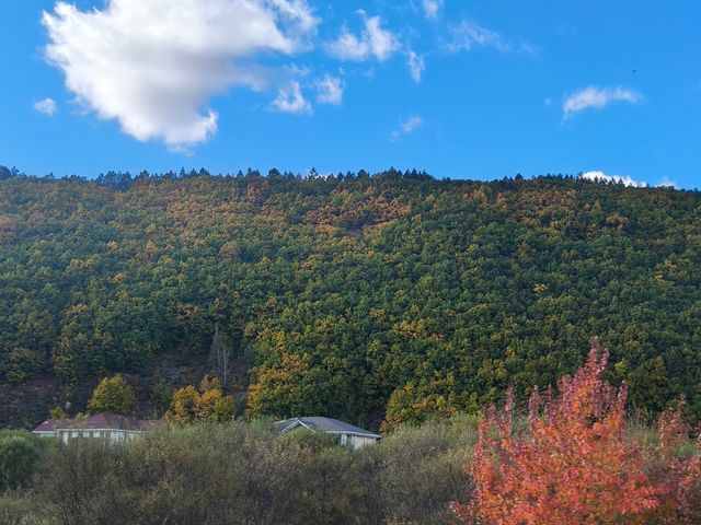 伊春旅遊五花山最美時節。