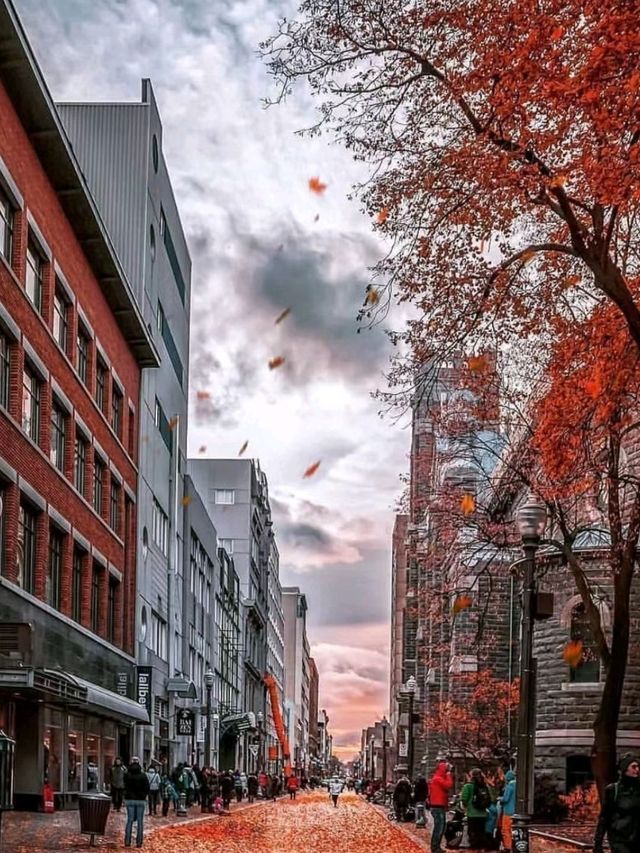 Rue de la Commune in Quebec