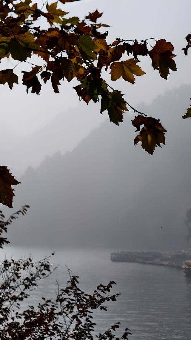 大美秦嶺-翠華山景區｜去山裡。