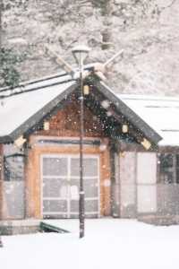 北海道神宮⛩️迎來一場純淨美麗的雪