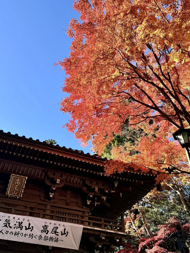 體驗四季風景：高尾山的悠然兩日