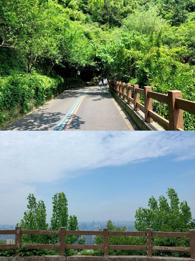 杭州半山國家森林公園——隱藏於城市中的自然風光！