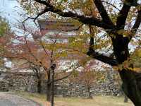 Kokura Castle in Katsuyama park 🇯🇵 🏰 